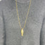 Lange ketting vis