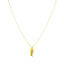 Lange ketting Vis