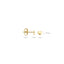 Blush oorbellen 14k goud 7245YGO