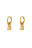 Earrings Smiley and Stones