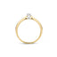 Blush ring 14k goud 1186BZI