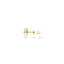 Blush oorbellen 14k goud 7247YGO