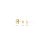 Blush oorbellen 14k goud 7247YGO