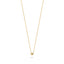 Blush ketting 14k goud 3120YGO