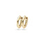Blush oorringen 14k goud 7133YGO