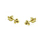 Karma Oorbellen Symbols Triple Dots