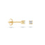 Blush oorbellen 14k goud 7211YZI