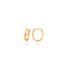 Blush earrings 14k gold 7224YGO