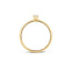 Blush ring 14k goud 1112YZI