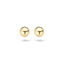 Blush oorbellen 14k goud 7123YGO