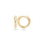 Blush oorringen 14k goud 7133YGO