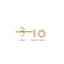Blush oorbellen 14k goud 7193YZI