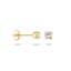 Blush oorbellen 14k goud 7212YZI