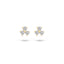 Blush oorbellen 14k goud 7197YZI