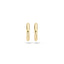 Blush oorringen 14k goud 7133YGO