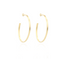 Lott Classic Earrings Creole Oval Brushed