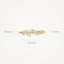 Blush Zirkonia Subtiele Pavé-zetting 14k Goud 1267YZI