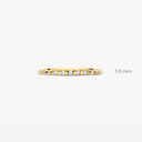 Blush Fantasiezetting Zirkonia 14k Goud 1268YZI