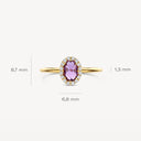 Blush Amethyst en Zirkonia 14k Goud 1271YAM