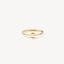 Blush Ring Rond Plaatje 14k Goud 1275YGO