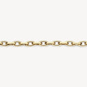Blush Armband Grove Jasseron Schakel 14k goud 2263YGO