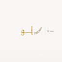 Blush Oorbellen Oorknopjes Boog met Zirkonia 14k goud 7319YZI