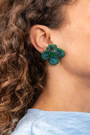 Groene Oorbellen Aster Flower S