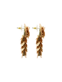 Lott Gouden Oorbellen Sequin Shell Look Waterfall - Champagne