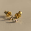 Karma Oorbellen Zirconia Symbols Tiny Double Leaves sfeer