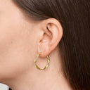 Pure by Nat Gouden Oorbellen Twisted Hoops Olivia