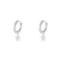 Stainless Steel Zilveren Oorbellen Ster