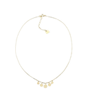 ZAG Bijoux Stainless Steel Gouden Ketting Pluton