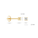 Blush oorbellen 14k goud 7211YZI