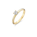 Blush ring 14k goud 1133YZI