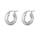 Stainless Steel Oorbellen Curly Hoops