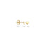 Blush oorbellen 14k goud 7245YGO