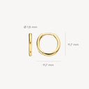 Blush earrings 14k gold 7233YGO