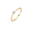 Blush ring 14k goud 1186BZI