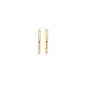 Blush earrings 14k gold 7274YGO