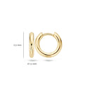 Blush oorringen 14k goud 7133YGO