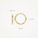 Blush earrings 14k gold 7271YGO