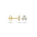 Blush earrings 14k gold 7197YZI