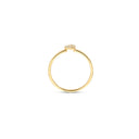Blush ring 14k goud 1231YZI