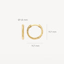 Blush earrings 14k gold 7266YGO