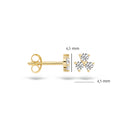 Blush oorbellen 14k goud 7197YZI