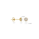 Blush oorbellen 14k goud 7241YZI