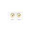 Blush oorbellen 14k goud 7122YGO