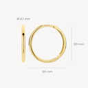 Blush earrings 14k gold 7274YGO