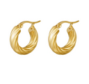 Stainless Steel Oorbellen Curly Hoops