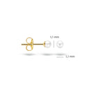 Blush oorbellen 14k goud 7137YPW